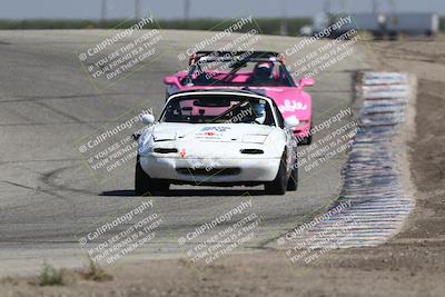 media/Sep-27-2025-24 Hours of Lemons (Sat) [[04fd3ac4ac]]/12pm (Outside Grapevine)/